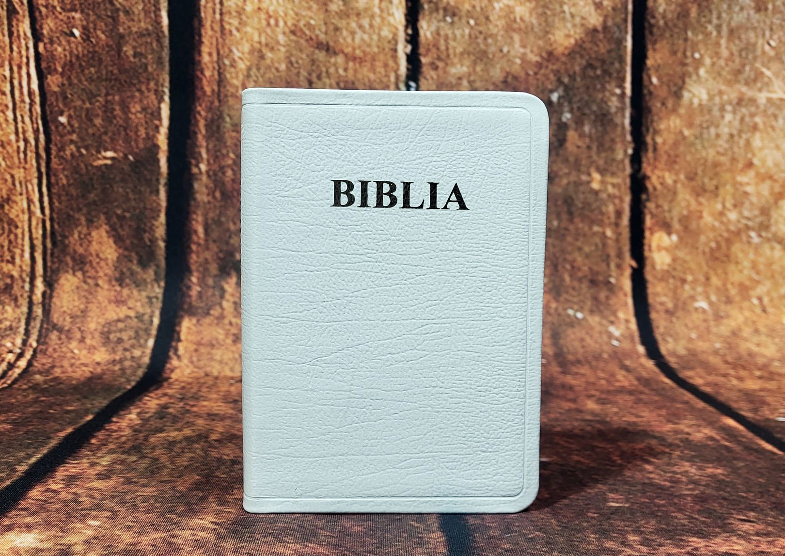 Biblia Rom 047 TI