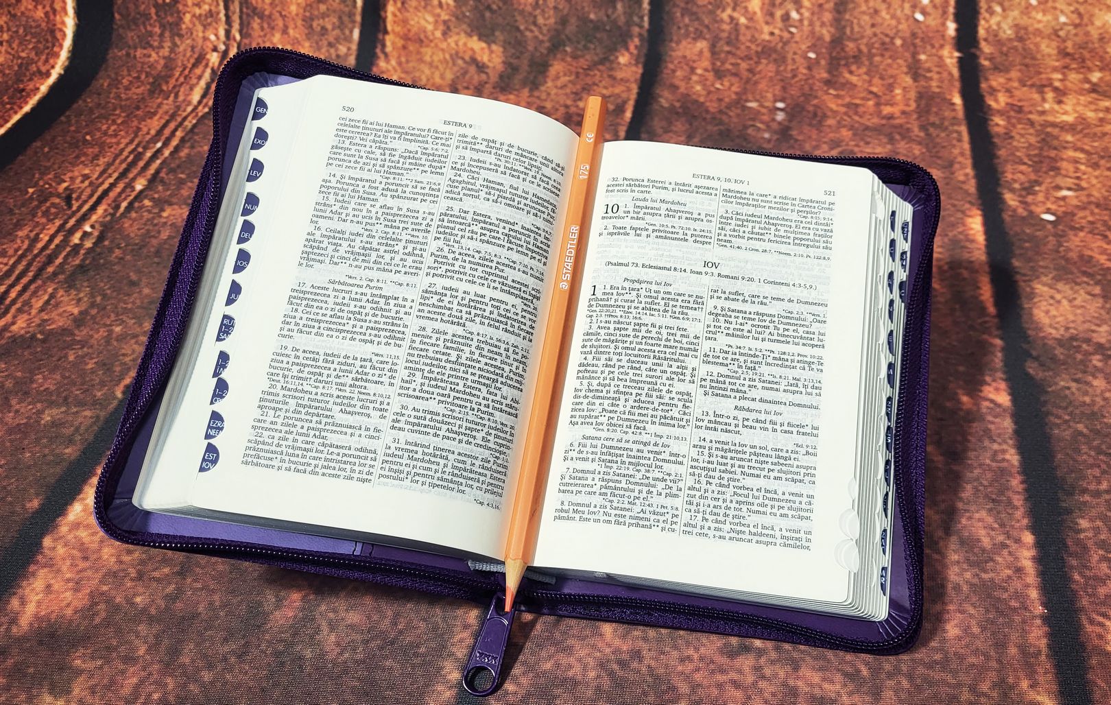 Biblia Rom 046 ZTI – mov