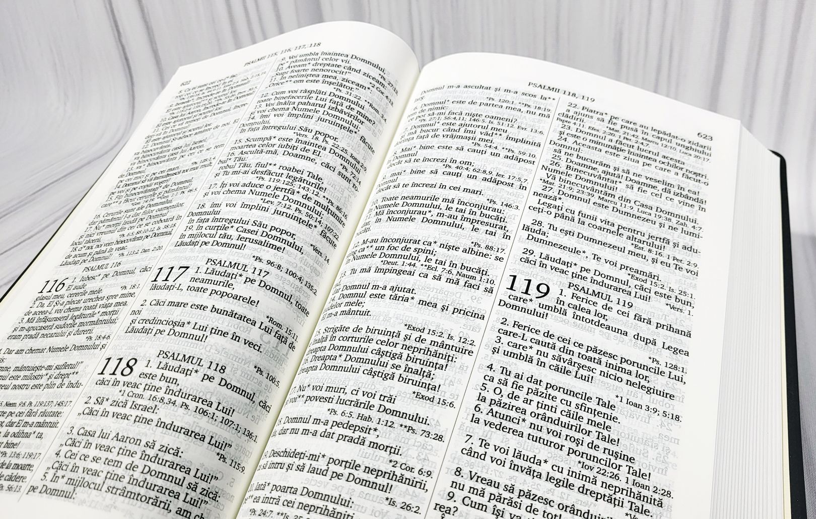 Biblia Rom 072
