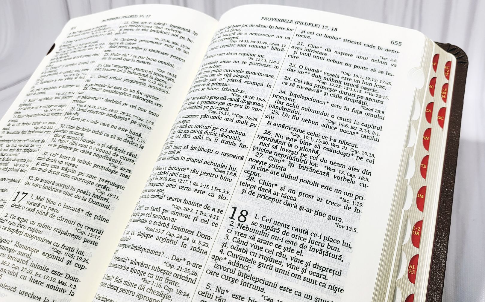 Biblia Rom 057 TI (brown)