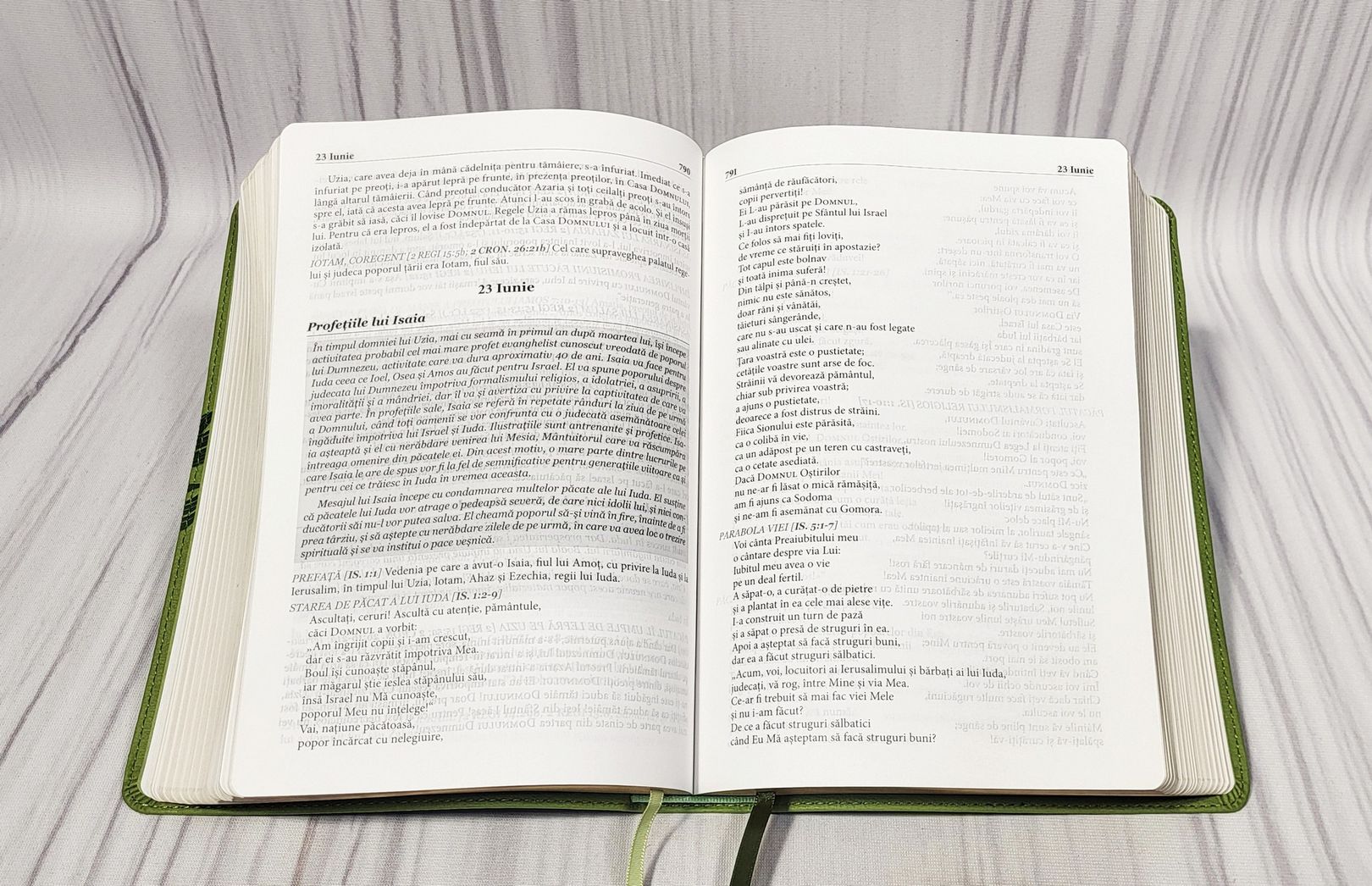 Biblia zilnica in ordine cronologica pentru un an – NTR – Verde