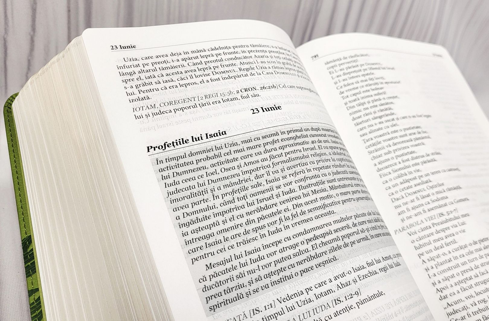 Biblia zilnica in ordine cronologica pentru un an – NTR – Verde