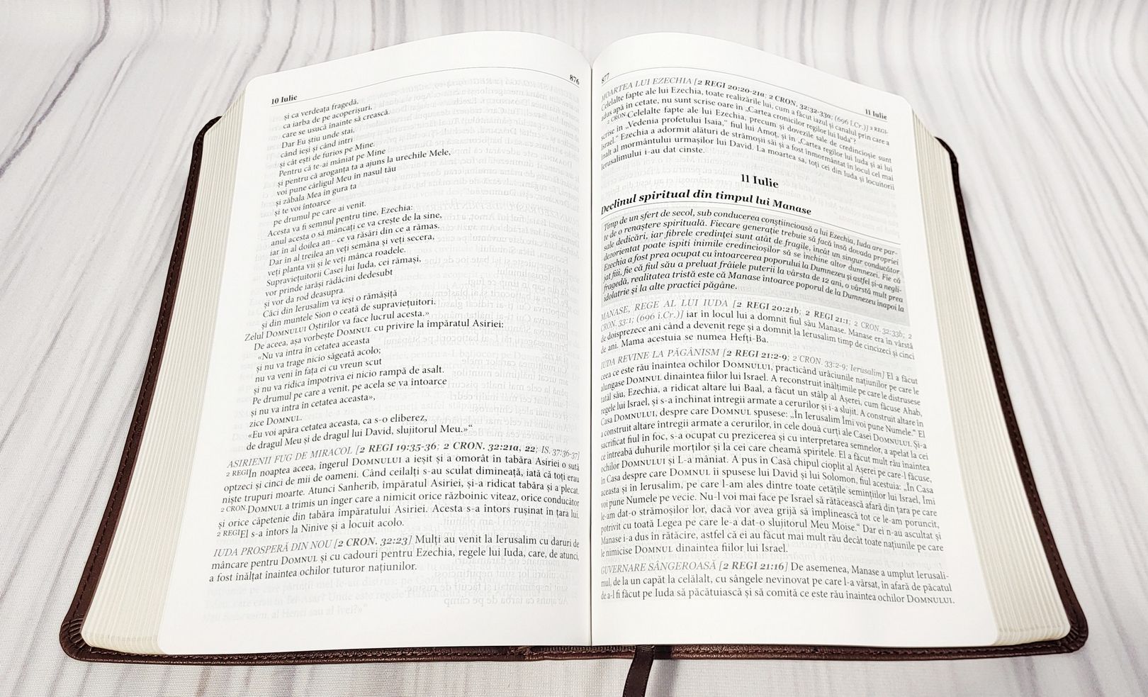 Biblia zilnica in ordine cronologica pentru un an – NTR – Maro