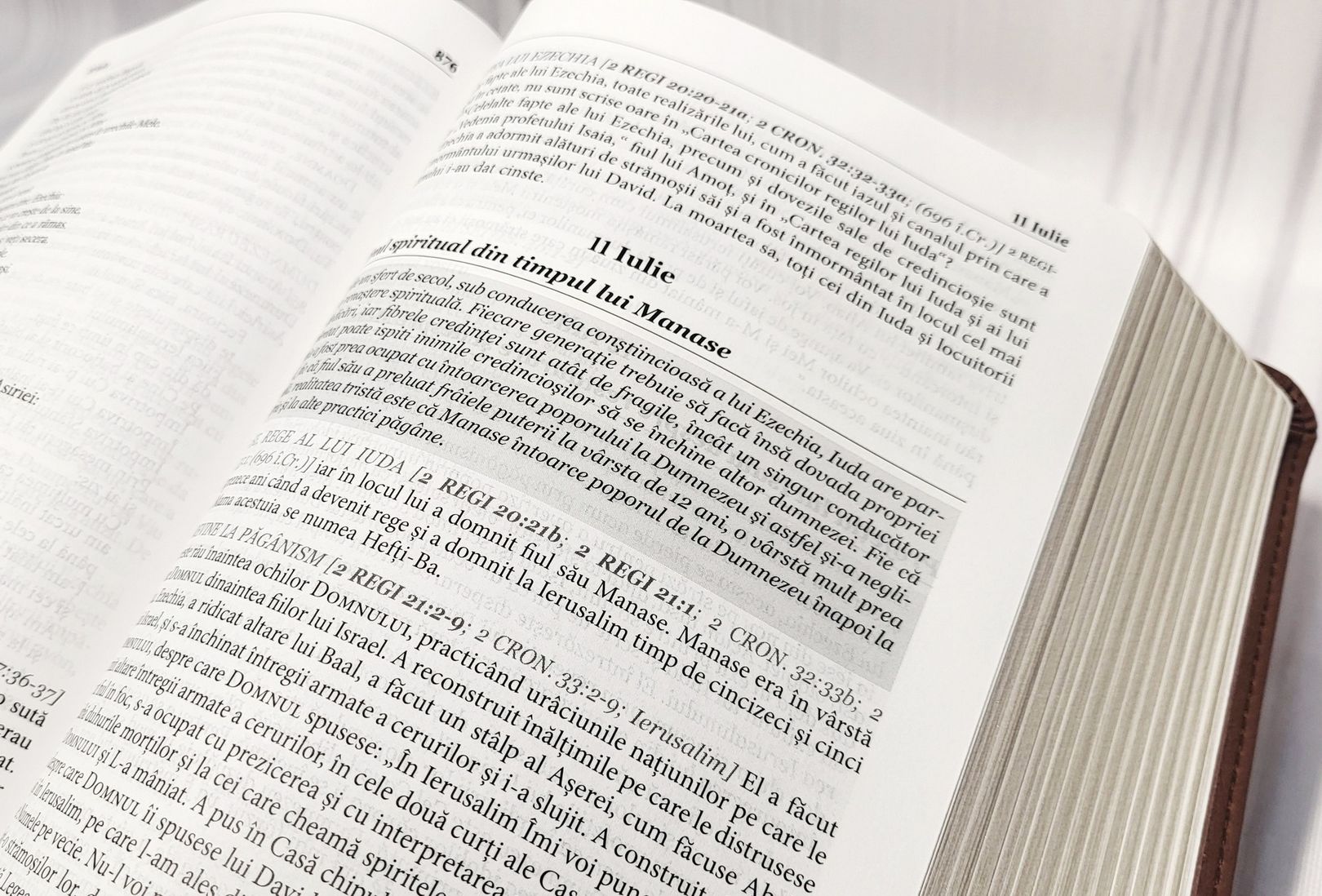 Biblia zilnica in ordine cronologica pentru un an – NTR – Maro