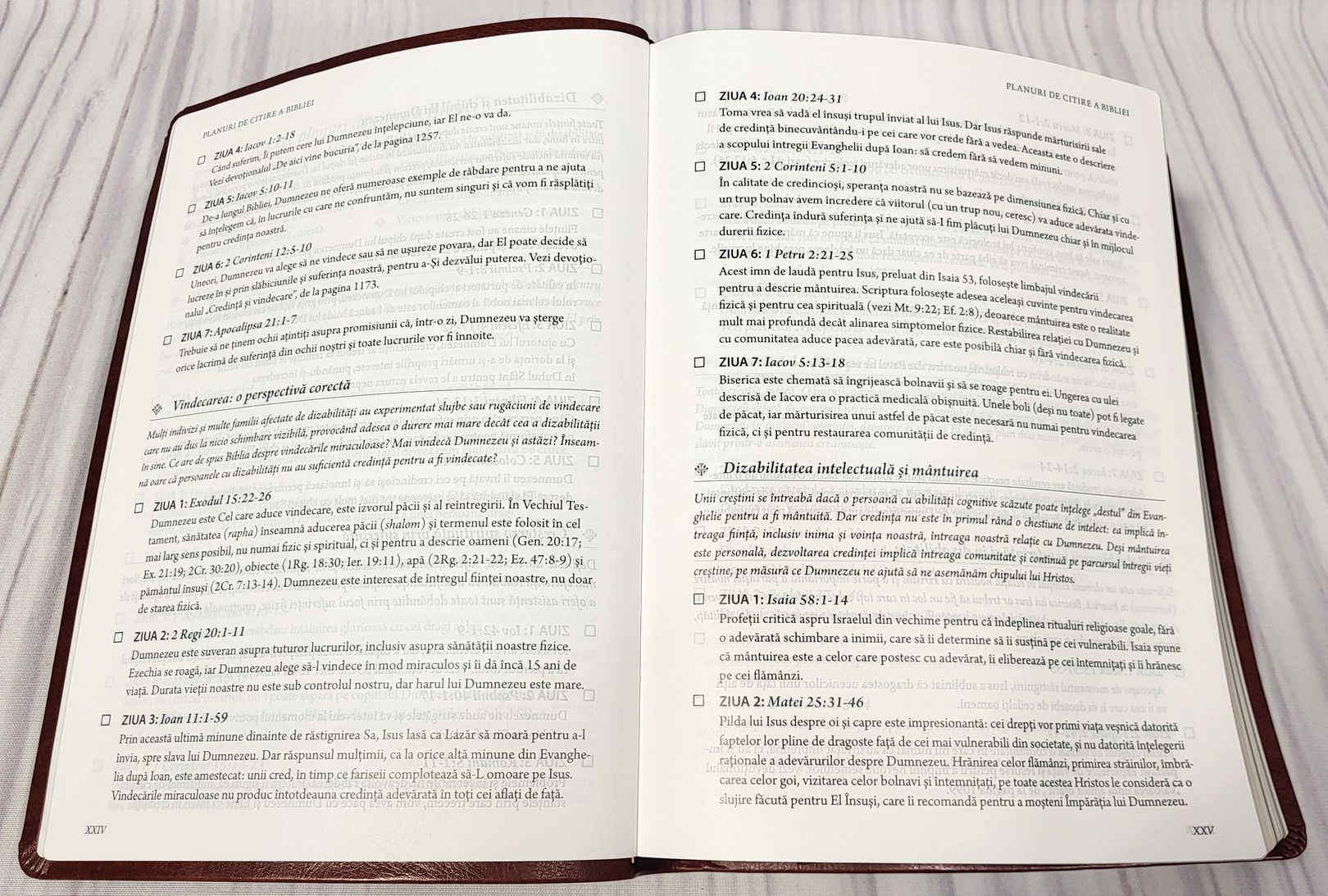 BIBLIA SPERANȚĂ ÎN SUFERINȚĂ – maro