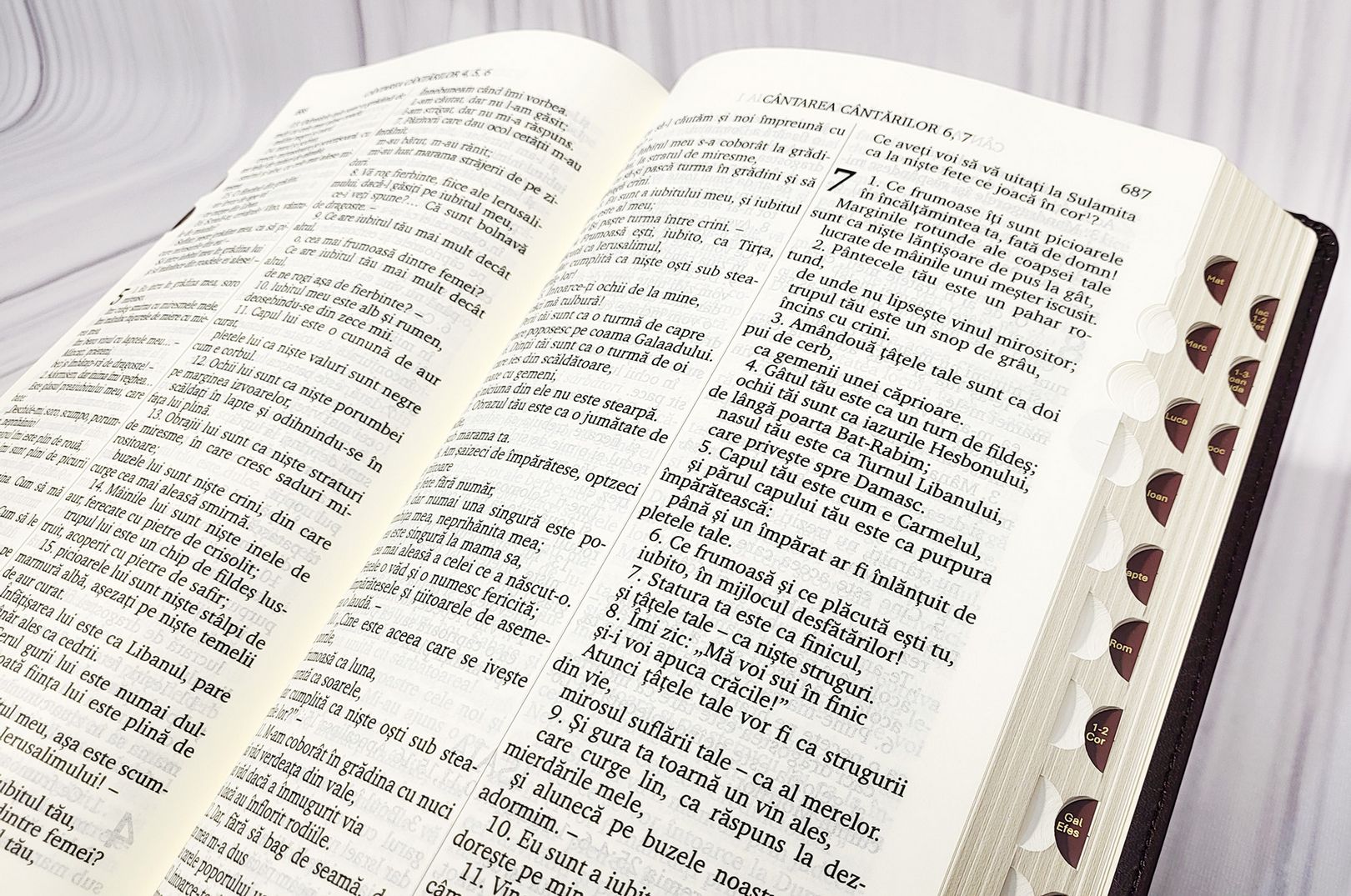 BIBLIA CENTENARA 076 TI (maro)