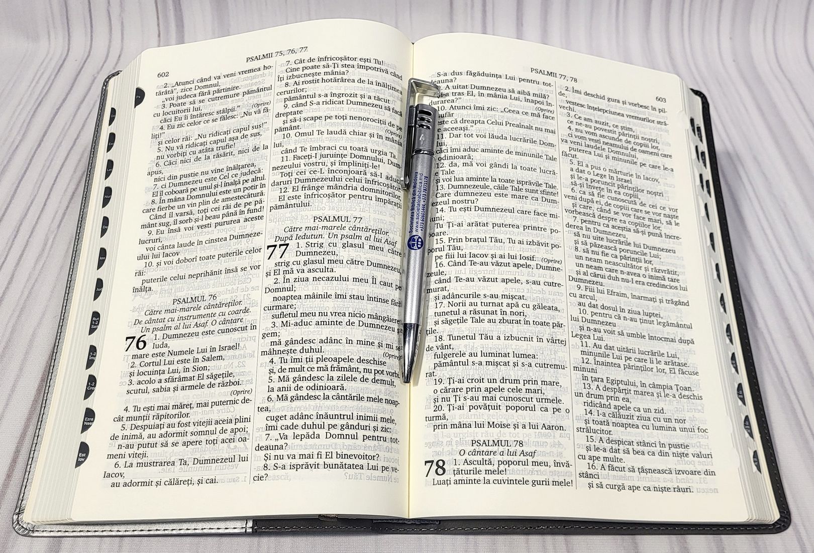 BIBLIA CENTENARA 076 TI (gri)