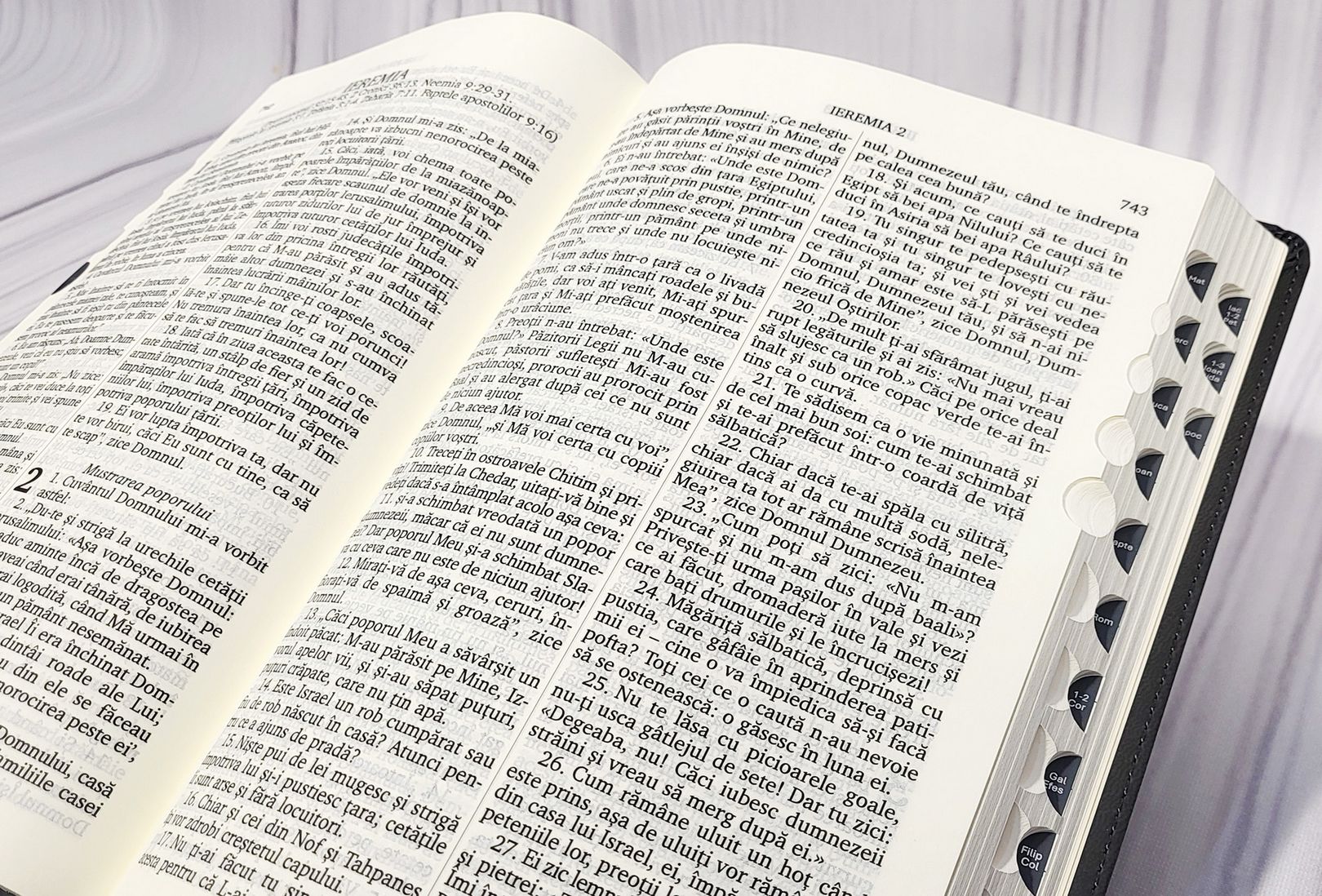 BIBLIA CENTENARA 076 TI (gri)