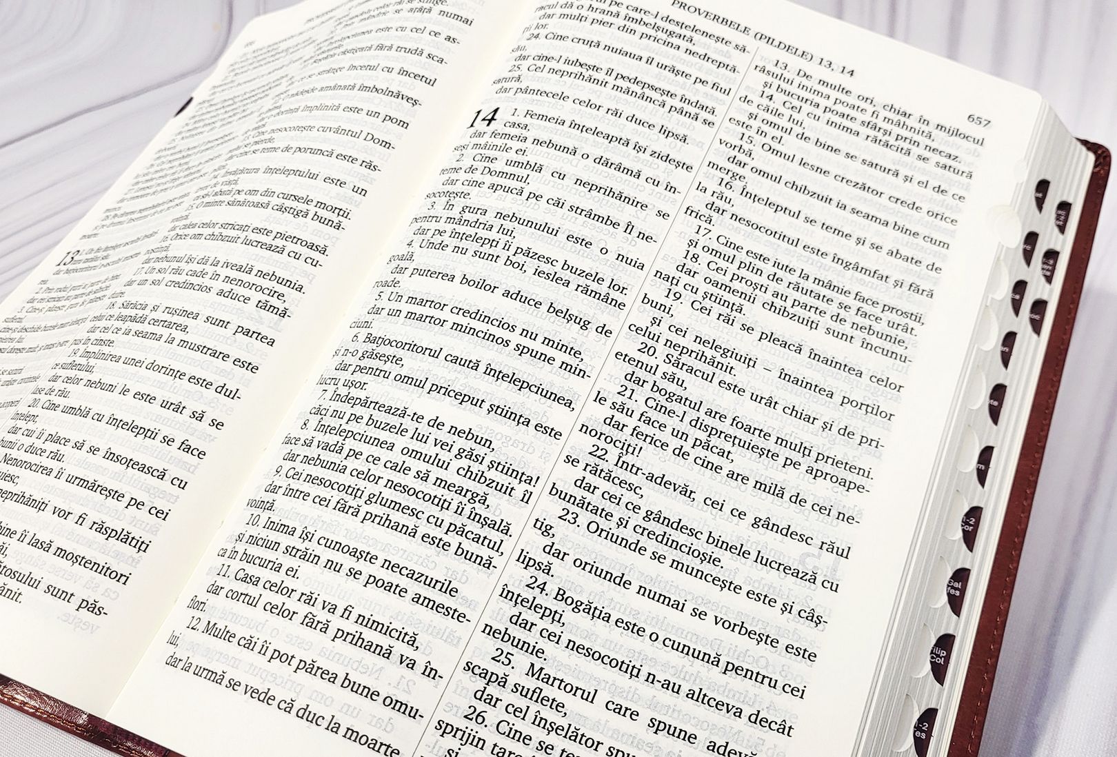 BIBLIA CENTENARA 076 TI (roșu)