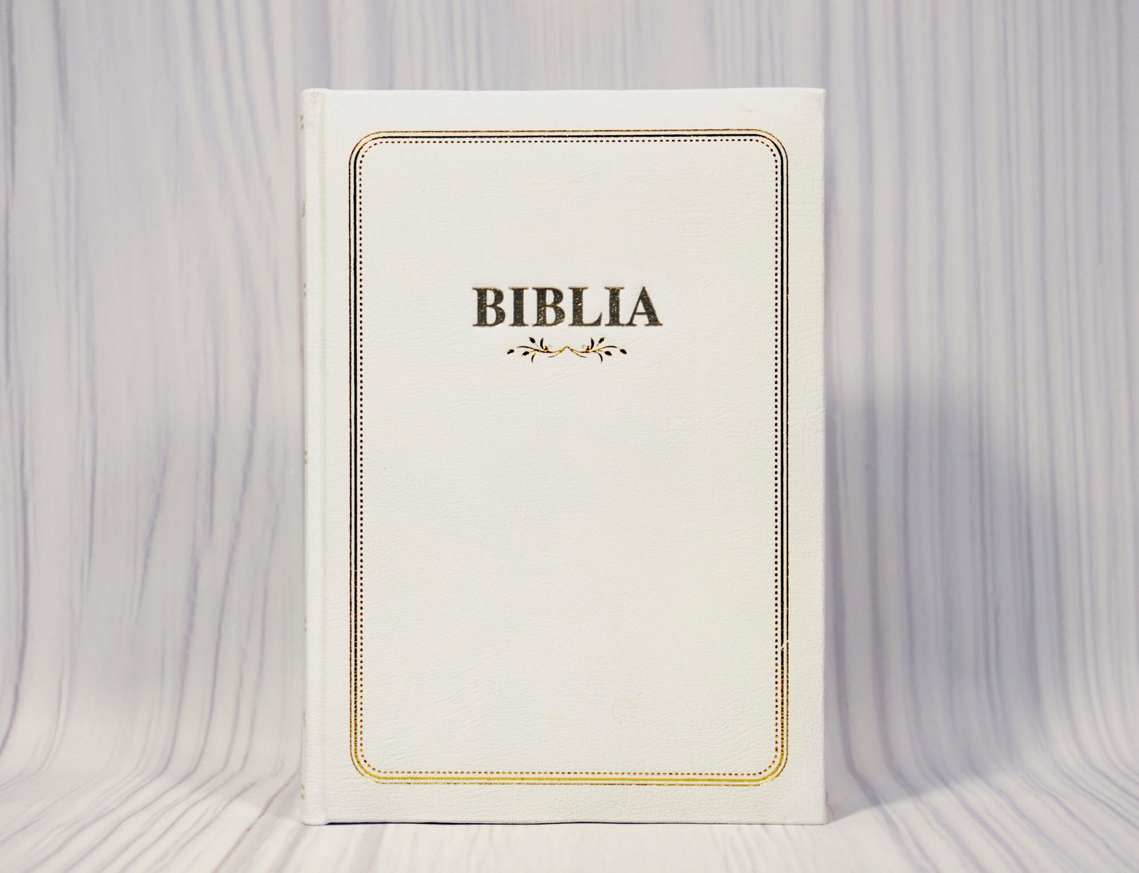 Biblia Rom 097 TI (white)