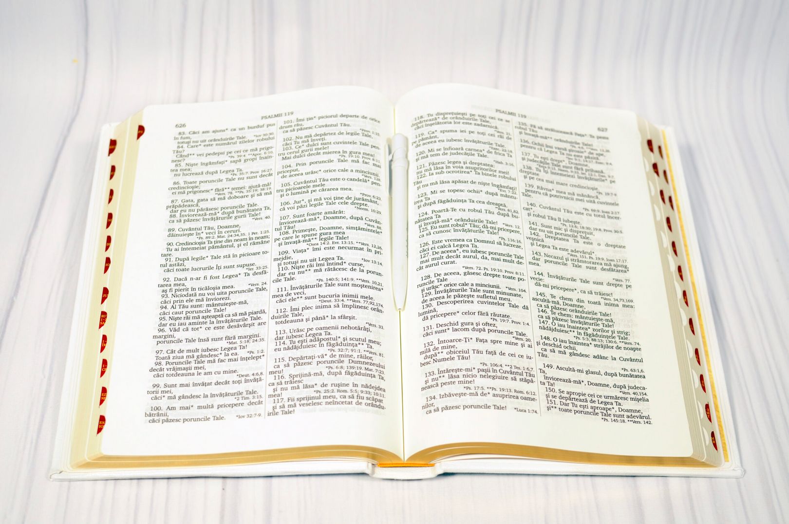 Biblia Rom 097 TI (white)