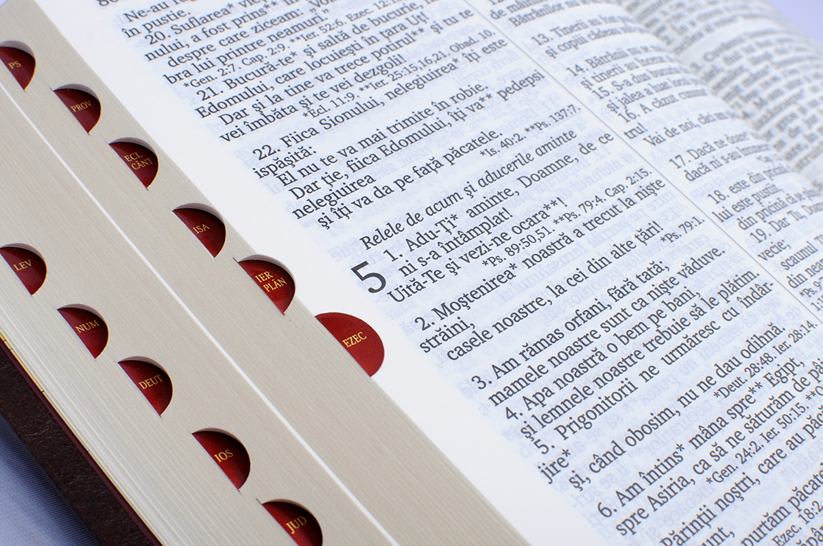 Biblia Rom 087 TI (brown)